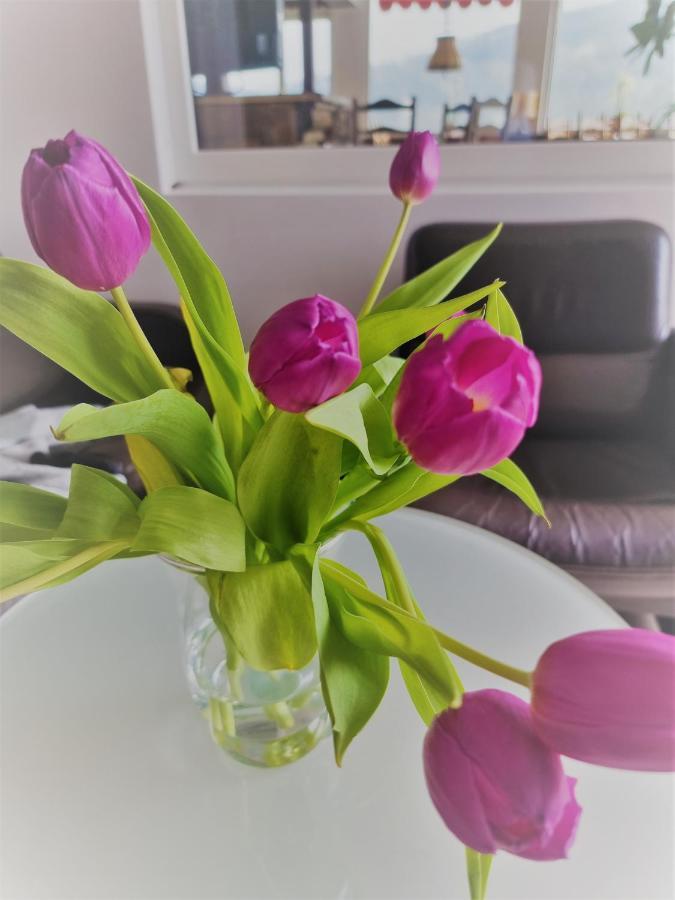 Hotel Kurhaus Uhlenberg 바트 뮌스터아이펠 외부 사진